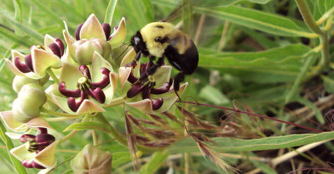 All About Knots image